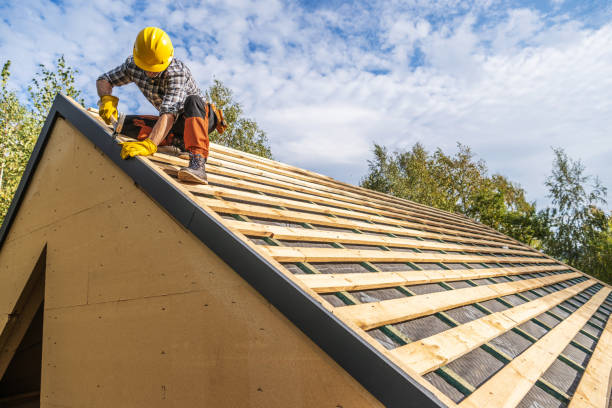 Best Roof Repair Services  in Washington Park, IL