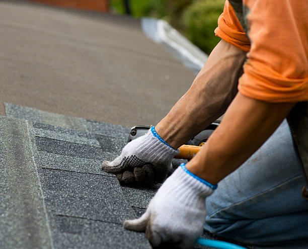 Roof Gutter Cleaning in Washington Park, IL