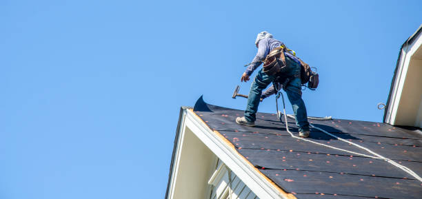Best Roof Leak Repair  in Washington Park, IL